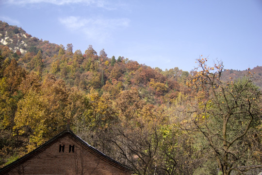 秦岭山居