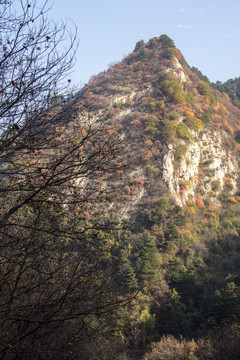 秋色山峦