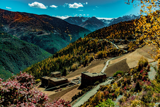 山寨山村