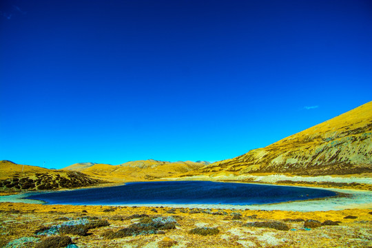 乡城 天村 巴姆七湖