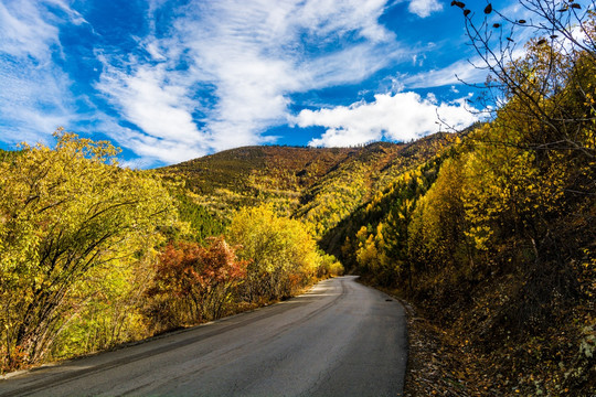 中国香格里拉小雪山段公路