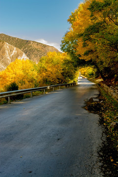 中国乡城县公路