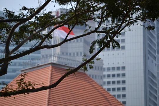 新加坡国会大厦 新加坡国旗