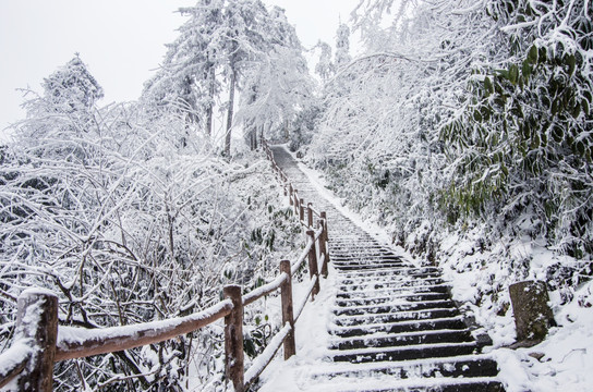 峨眉山 雪景