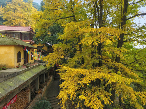 四川白岩寺秋色