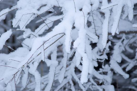 积雪