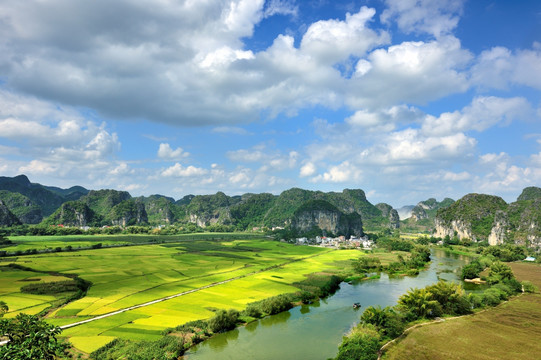 金秋田园