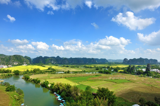 金秋田园