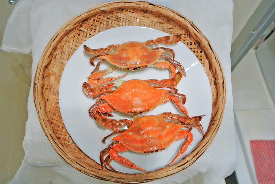 梭子蟹素材 高檔海鮮 海產(chǎn)品