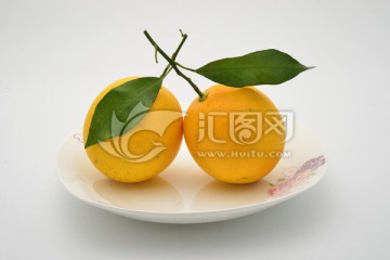 江西臍橙