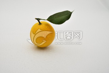 江西臍橙