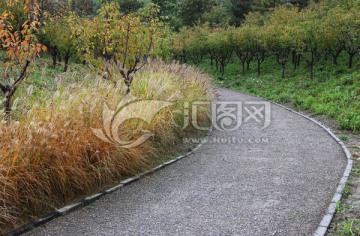 北京翠湖湿地公园