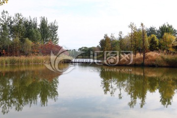 北京翠湖湿地公园