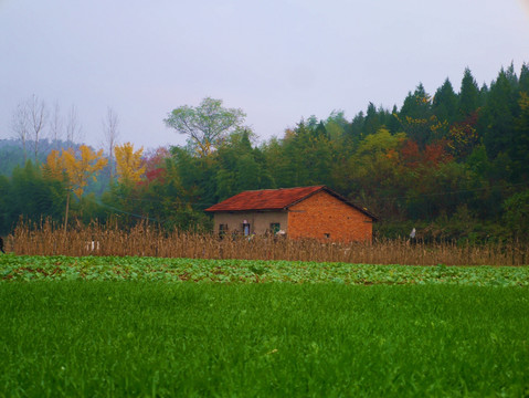 山居