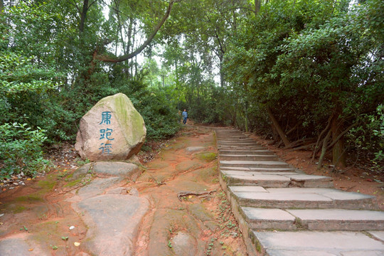 山间小路 森林健身道