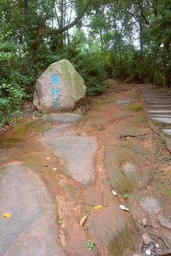 山间小路 森林健身道