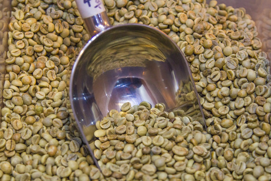 咖啡豆生豆