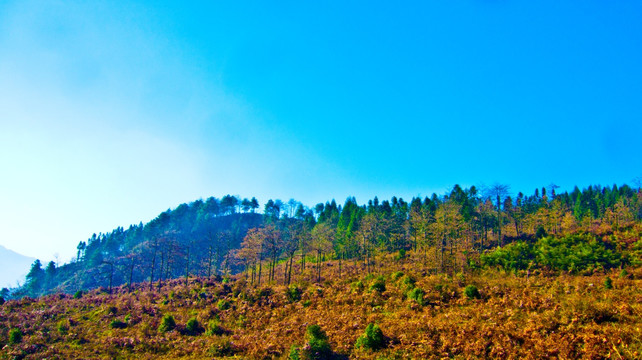 山岭 荒野