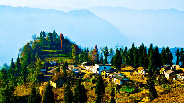 山村 树林