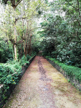 羊台山风景