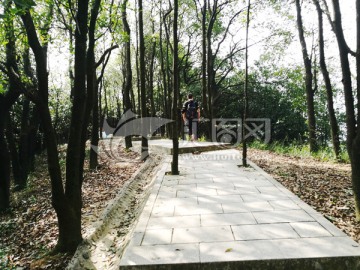 登山路