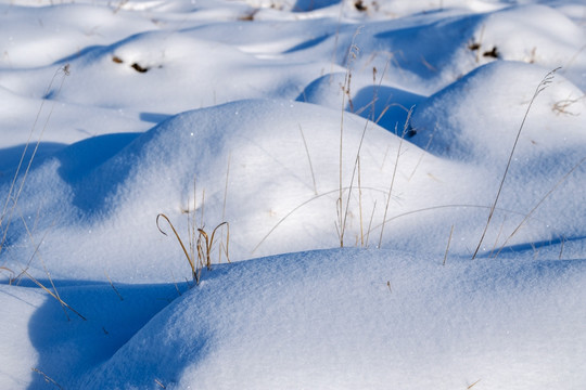 雪丘