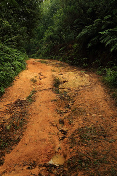 红土路