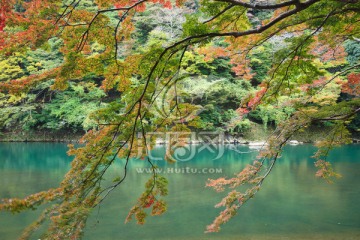 日本岚山