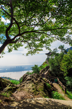 山景 山路 亭子