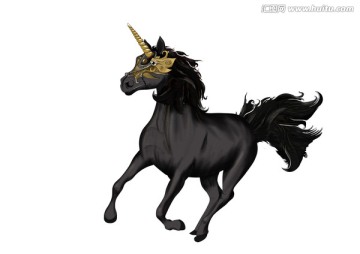 裝飾插畫黑金馬