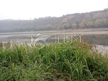 雁鸣湖湿地公园