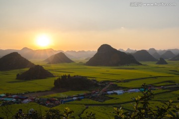 罗平油菜花日出