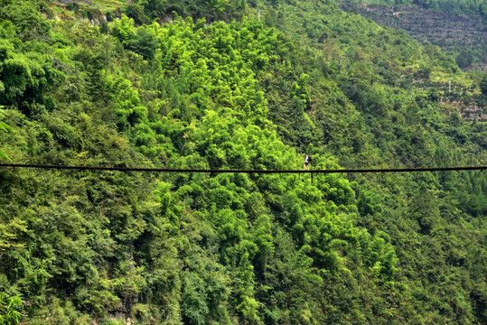 酉水河