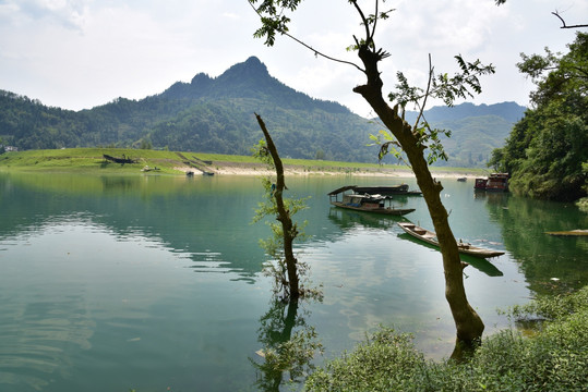 酉水河