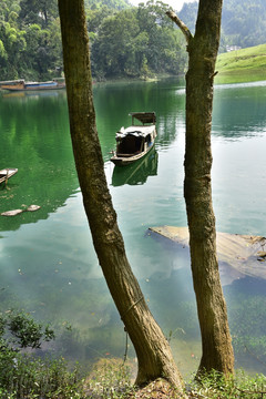 酉水河