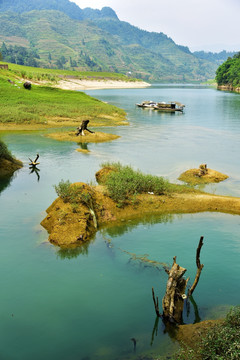 酉水河