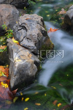 流水 红叶