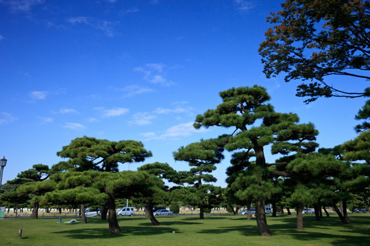 日本东京皇居外苑