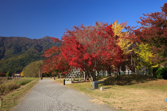 日本河口湖