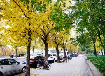 深秋的北京街景