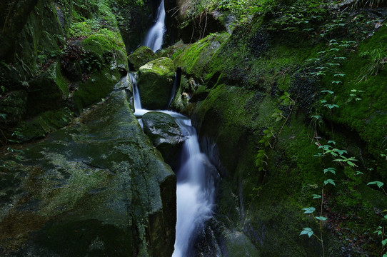 山谷 奇石