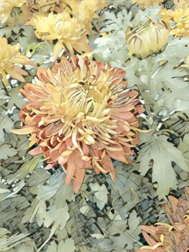 菊花裝飾畫(huà)