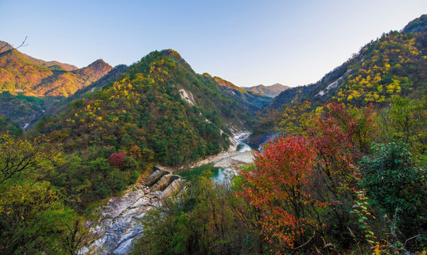 鹞落坪秋色山谷