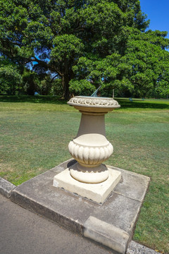 悉尼皇家植物园里的日冕