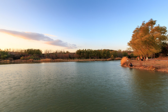 北京奥森公园人造湿地人工湖