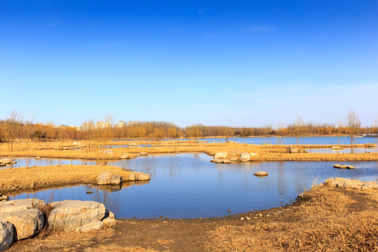 北京奥森公园人造湿地人工湖