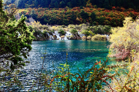 九寨沟 秋天