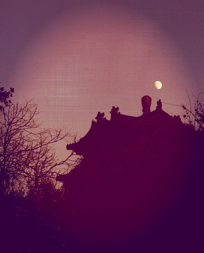 裝飾油畫 月夜