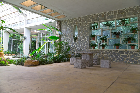 华南植物园室内景观植物