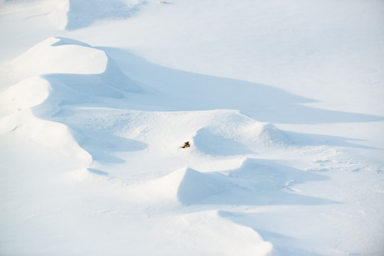 雪景